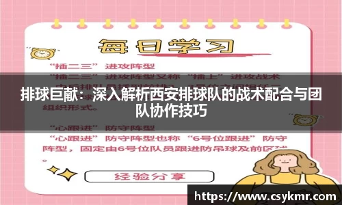 完美体育APP